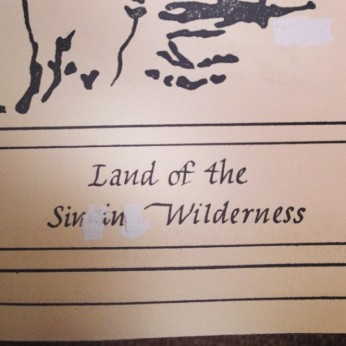 The Sin in Wilderness